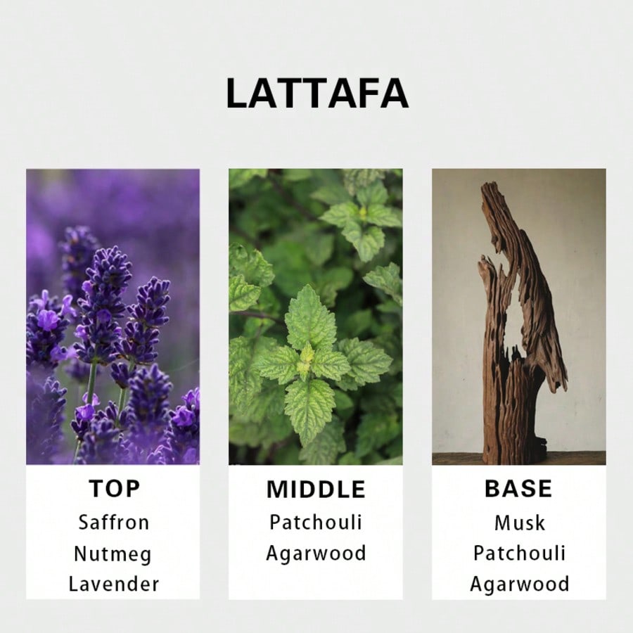 Lattafa Badee Al Oud For Glory - Perfume In Fragrance 评论和价格