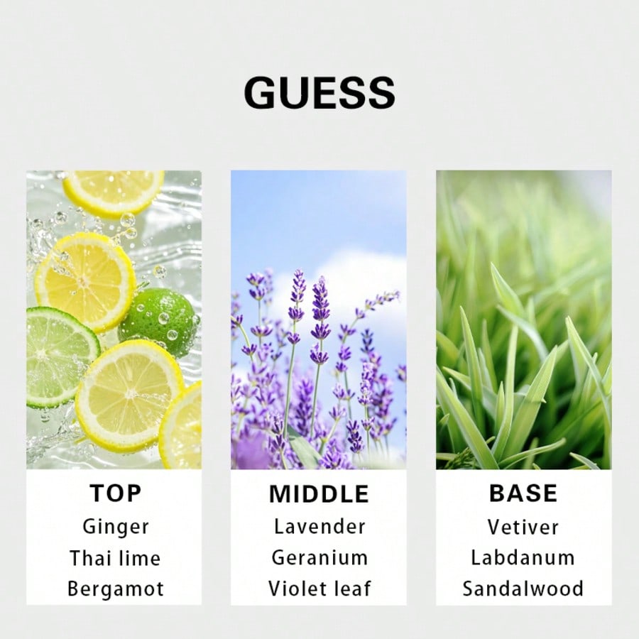 Guess Forever men Eau De Toile - Fragrance Perfume Note 评论和价格